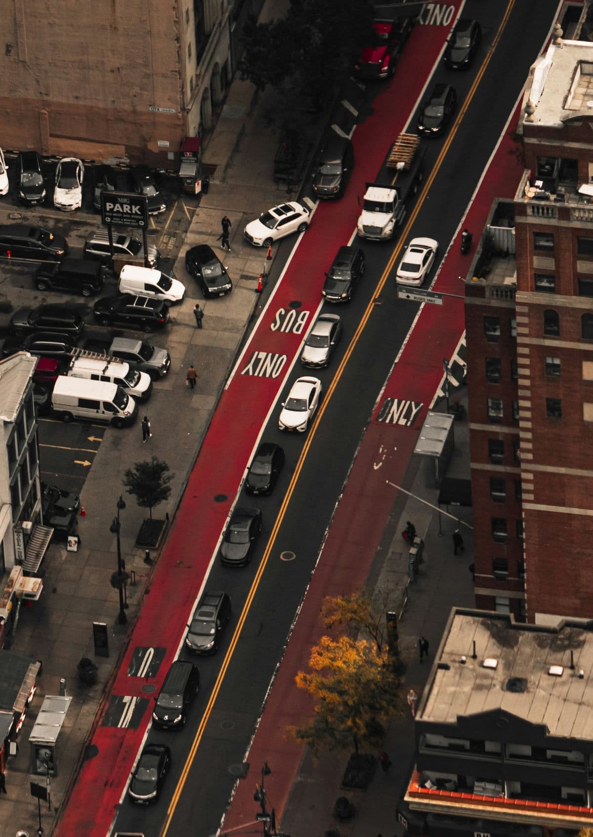 Curb-Adjacent Exclusive Bus Corridor